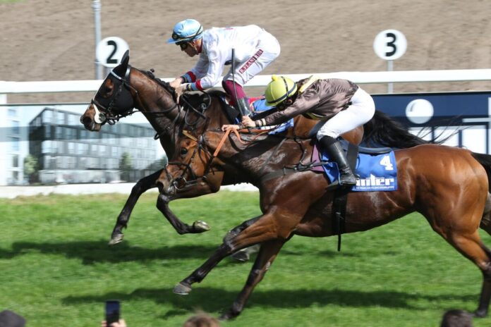 Son Gual siegt unter Bertrand Flandrin