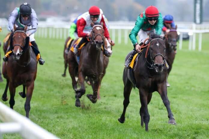 Square Carnot siegt unter Sibylle Vogt im Ferdinand Leisten-Memorial - Auktionsrennen