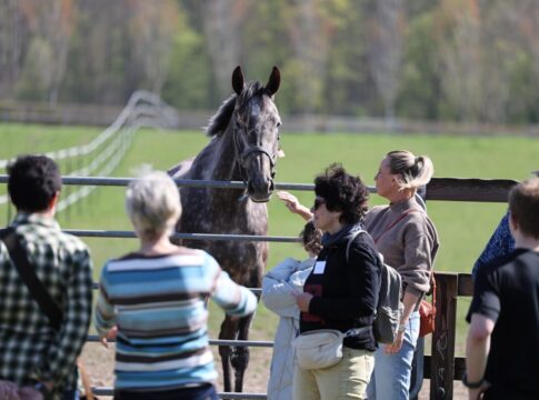 Tag der Rennställe 2025 – Die Bilanz und knapp 1.900 Euro Spende Erle beim Tag der Rennställe Maxim Pecheur