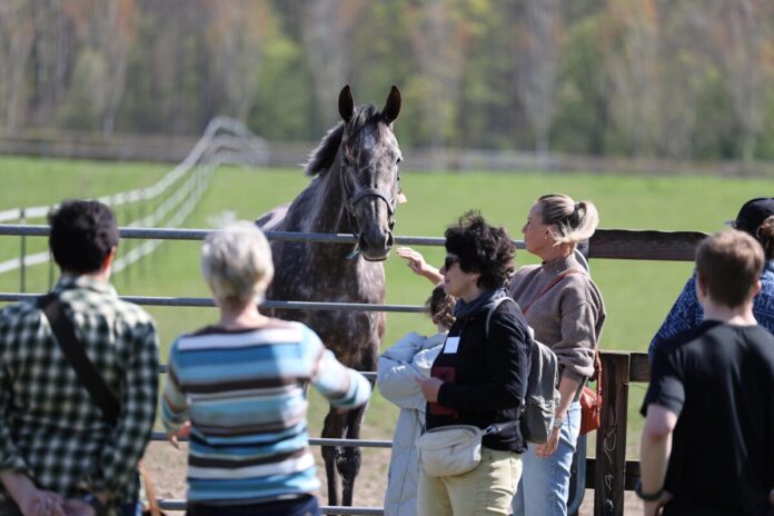 Erle beim Tag der Rennställe Maxim Pecheur