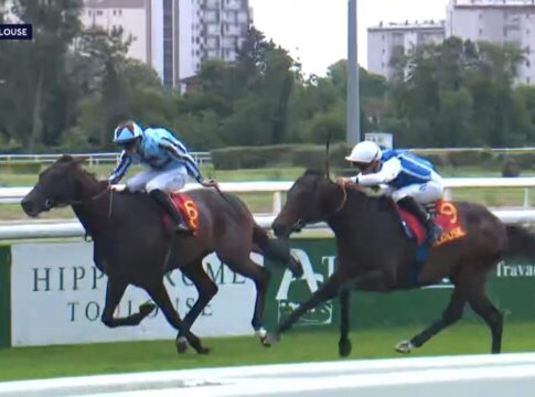 Neuer Derby-Kandidat aus Frankreich: Sorgt The Sheriff für Unruhe? The Sheriff