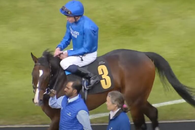 Zwei Millionen-Hengst gibt vielversprechendes Debüt