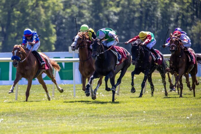 Waldadler (2.v.li.) am Sonntag im Oleander-Rennen Waldadler (2.v.li.) am Sonntag im Oleander-Rennen