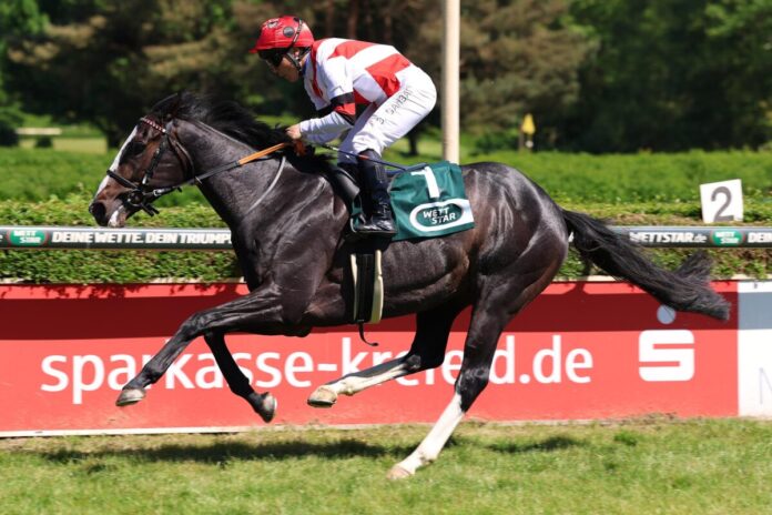 Waldnebel (Archiv) Waldnebel (Archiv)