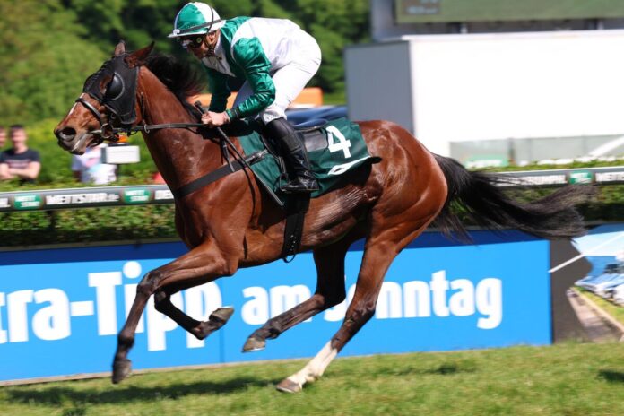 Wilde Zeit siegt unter Wladimir Panov Wilde Zeit siegt unter Wladimir Panov