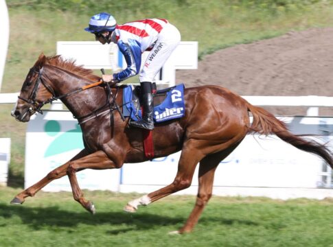 Robin Weber verwandelt Kistenritt auf Zeraphina Zeraphina siegt unter Robin Weber