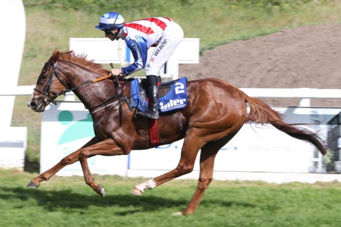 Zeraphina siegt unter Robin Weber