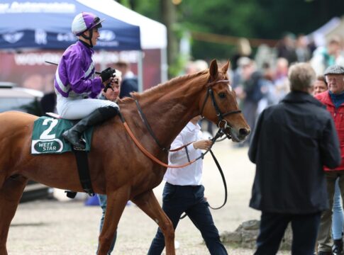 Alpenjäger endgültig zurück: Nach Ausgleich I-Sieg jetzt Oleander-Rennen? Alpenjäger