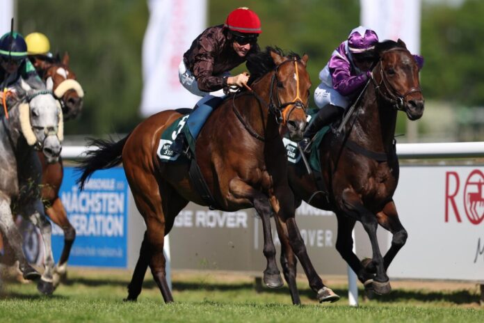 Breizh Sky siegt Breizh Sky siegt