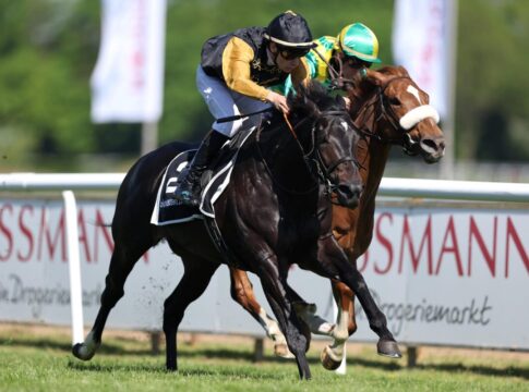 Damarso erster Sieger für Bocskai im neuen Quartier Damarso siegt