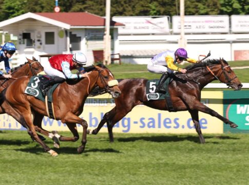 Path of Soldier siegt