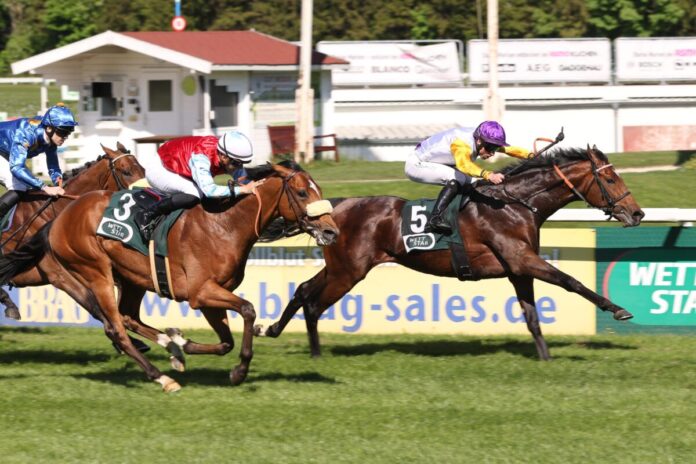 Path of Soldier siegt