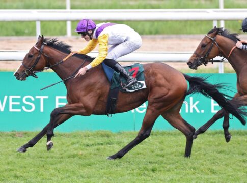 Schiergen eins/zwei im Schwarzgold-Rennen: Santagada schlägt Nicoreni Santagada siegt gegen Nicoreni