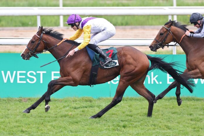 Santagada siegt gegen Nicoreni