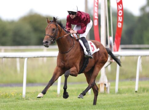Schiergen siegt für Schiergen - Nächster Halt die "Union"? Schiergen