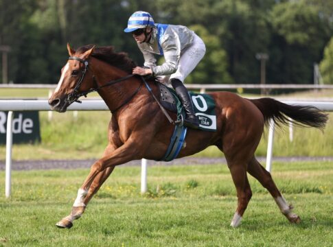 Mit Speed zum leichten Sieg: Sporting Hunter trotzt Bodenvorliebe Sporting Hunter