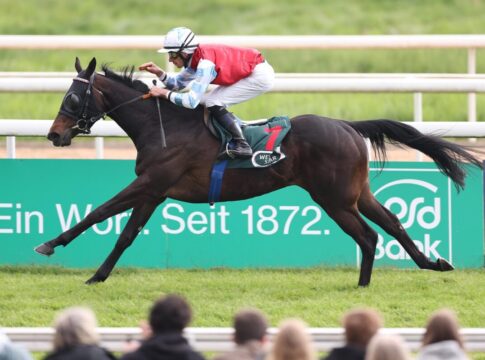 24,3:1! Weis-Stute Sunshine Baby schockt die Domstadt-Wetter Sunshine Baby