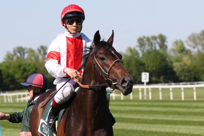 Abando unter Bayarsaikhan Ganbat Abando unter Bayarsaikhan Ganbat