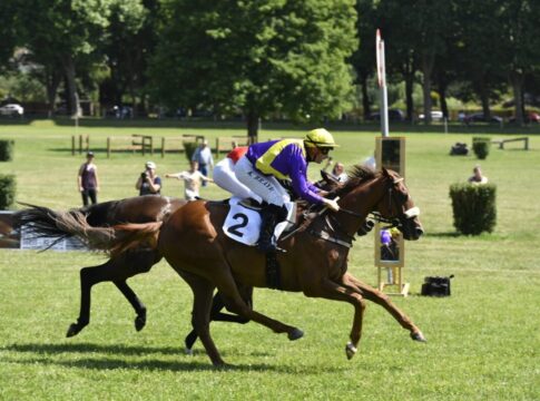 Wenn zwei sich streiten... Aerion bezwingt die Favoriten Aerion