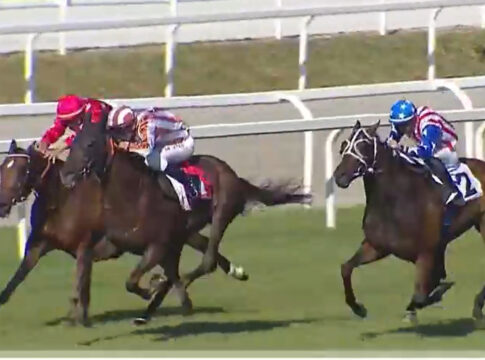 Arnis Master gewinnt den Gran Premio di Milano Arnis Master gewinnt den Gran Premio Foto: Screenshot