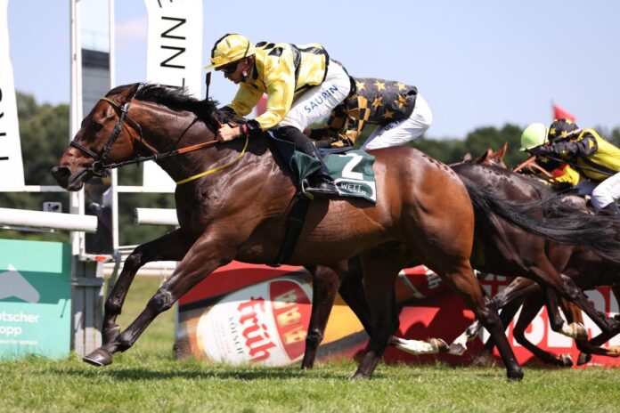 Asaaleeb siegt unter Thore Hammer-Hansen