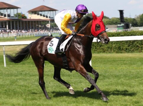 925.000 Pfund-Gebot für Derbyfavorit Path of Soldier - wie geht es weiter? Path of Soldier