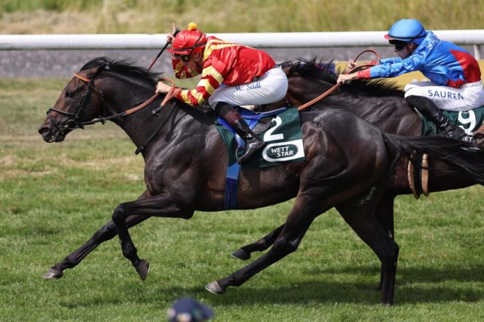 Best Lightning siegt unter Martin Seidl im Großen Preis der Wirtschaft Best Lightning siegt unter Martin Seidl im Großen Preis der Wirtschaft