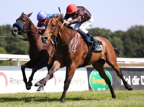 Noch Neun im Aufgebot für Dinger's Gartencenter Köln - Sprint Trophy Breizh Sky siegt unter Adrie de Vries