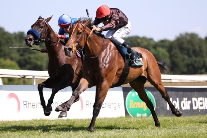 Breizh Sky siegt unter Adrie de Vries