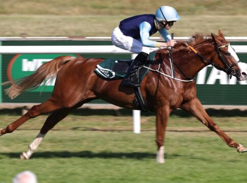Waldpfad-Tochter Calissa imponiert: Bocskai-Heimsieg Calissa siegt unter Corentin Berge
