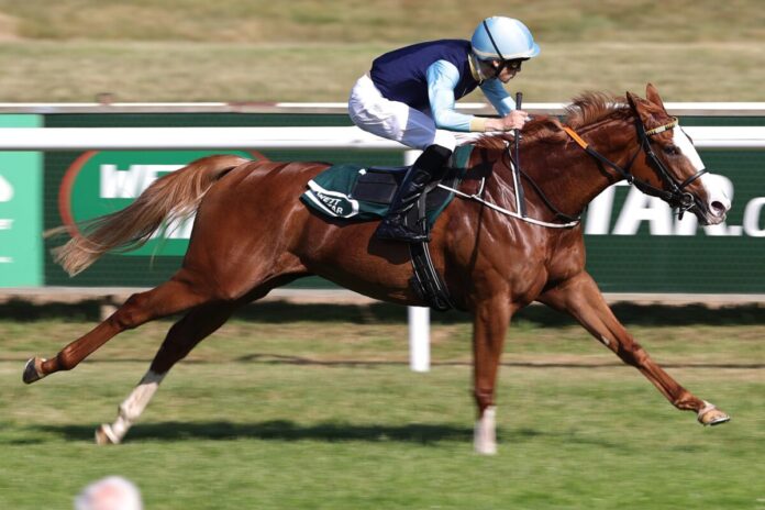 Calissa siegt unter Corentin Berge