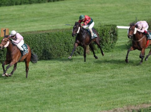 Cuban Lynx mit der Stallform zum ersten Sieg Cuban Lynx siegt unter Nina Baltromei