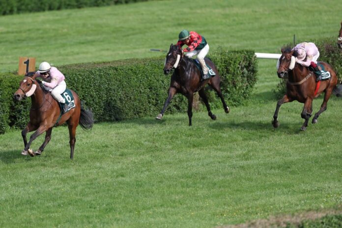 Cuban Lynx siegt unter Nina Baltromei
