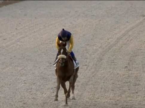 "Elfmeter" Dato verwandelt - Perfekter Mons-Tag für den Pietsch-Stall Dato