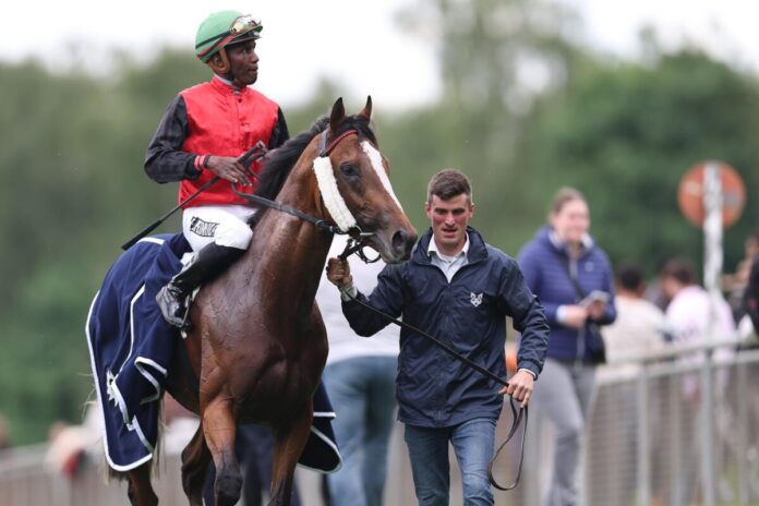 Delgardo unter Eduardo Pedroza und mit Seitenblender Delgardo unter Eduardo Pedroza und mit Seitenblender