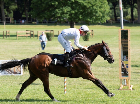 Donum Felix Foto: Gerlach