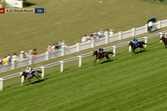 Field Of Gold (li.) (Archiv, Screenshot YouTube-Kanal At The Races) Field Of Gold (li.) (Archiv, Screenshot YouTube-Kanal At The Races)