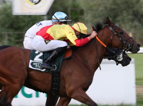 Flamingo Hollow siegt unter Lukas Delozier