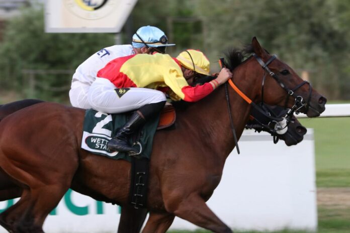 Flamingo Hollow siegt unter Lukas Delozier