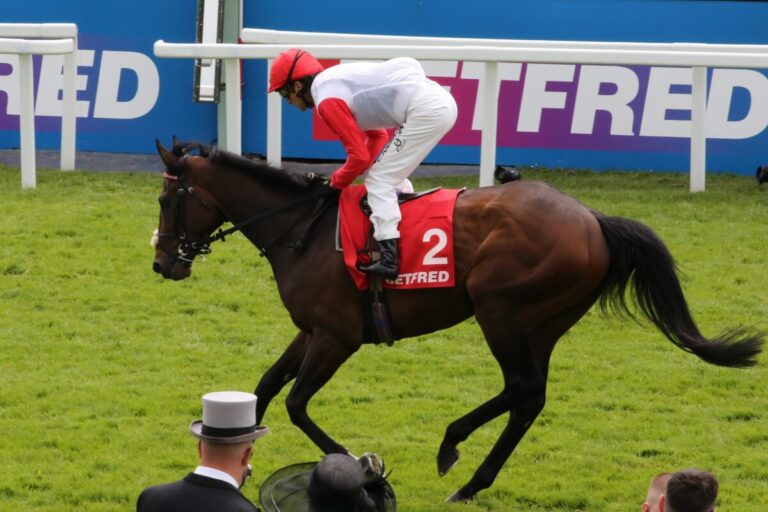 Starke nicht in Hoppegarten – Ritt auf Geography in Chantilly?