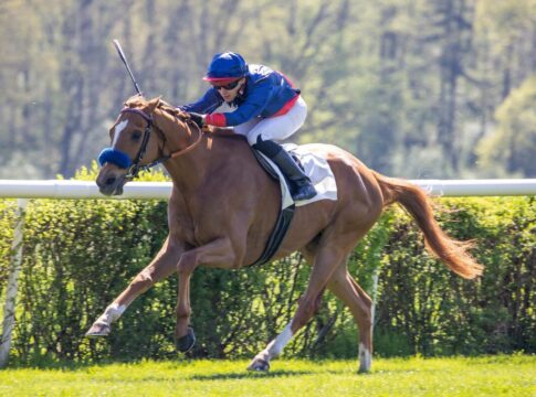 Super-Sieg! Flatten the Curve überlegen zum US-Sieg! Flatten the Curve siegt unter Thore Hammer-Hansen im Altano-Rennen