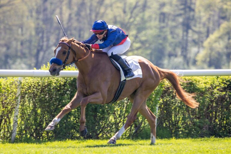 Flatten The Curve am Freitag aus Box 1 im Belmont Gold Cup