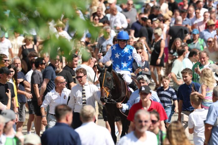 Juwelier nach dem Sieg im Japan Racing Association Derby-Trial Juwelier nach dem Sieg im Japan Racing Association Derby-Trial