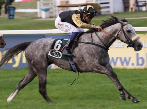 Geisler-Stall weiter in großer Form – Kanzashi locker im Ausgleich III Kanzashi siegt unter Bertrand Flandrin