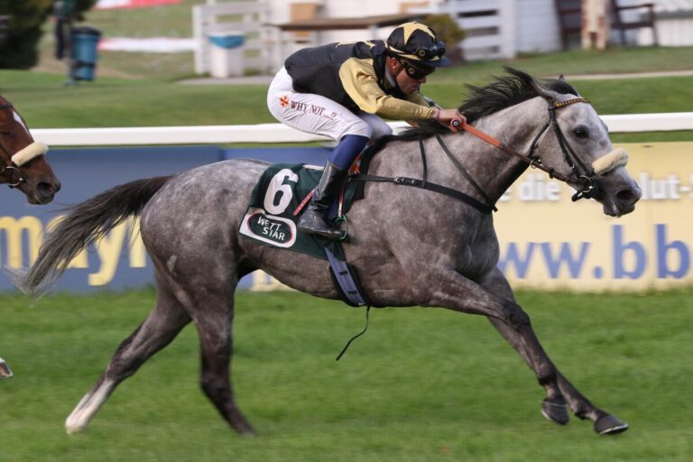 Geisler-Stall weiter in großer Form – Kanzashi locker im Ausgleich III
