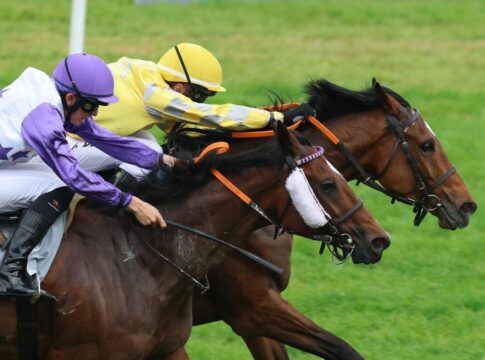 Es muss auch mal Kaviar sein - Achter Meetingstreffer für de Vries Kaviar siegt unter Adrie de Vries