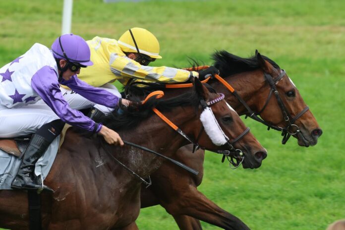 Kaviar siegt unter Adrie de Vries