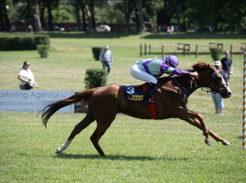 Cronauer und King's Crown feiern gemeinsam erste Saisonsiege King’s Crown