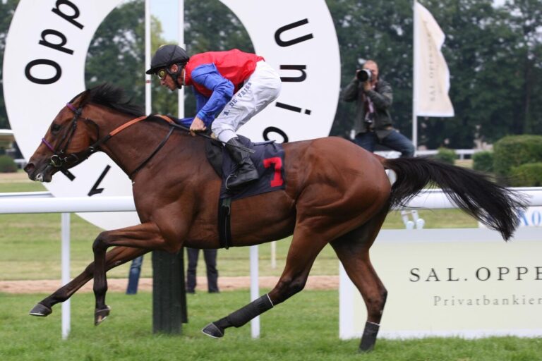 Das gab es in den letzten 40 Jahren nicht! – Kein Black Type unter Union-Startern