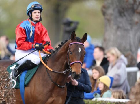 Auch in Hannover wird galoppiert – neun Rennen am Freitagabend Lion’s Head